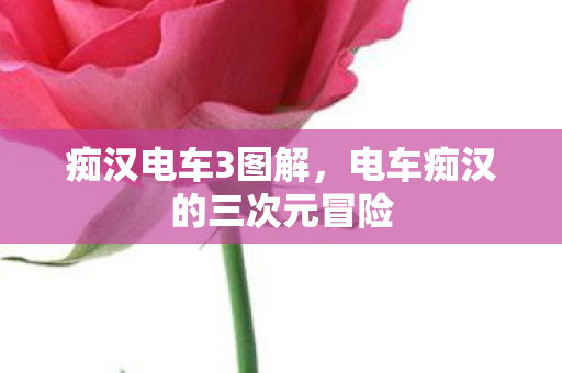 痴汉电车3图解,电车痴汉的三次元冒险 痴汉电车3图解,电车痴汉的三次元冒险