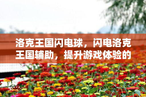 洛克王国闪电球,闪电洛克王国辅助,提升游戏体验的得力助手 洛克王国闪电球,闪电洛克王国辅助,提升游戏体验的得力助手
