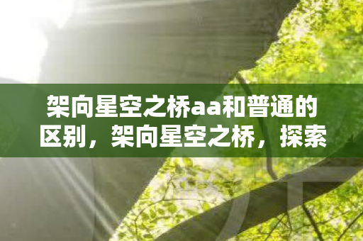 架向星空之桥aa和普通的区别,架向星空之桥,探索虚拟世界的无限可能 架向星空之桥aa和普通的区别,架向星空之桥,探索虚拟世界的无限可能