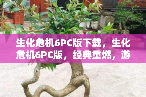 生化危机6PC版下载,生化危机6PC版,经典重燃,游戏新体验 生化危机6PC版下载,生化危机6PC版,经典重燃,游戏新体验