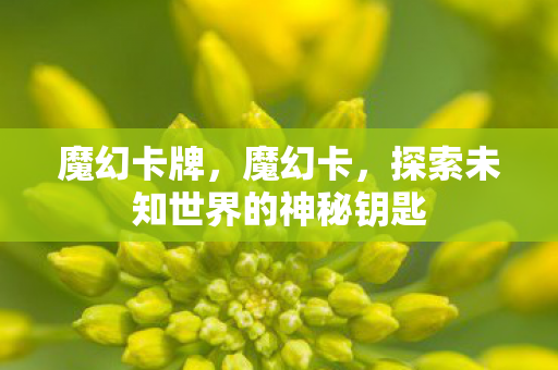 魔幻卡牌,魔幻卡,探索未知世界的神秘钥匙 魔幻卡牌,魔幻卡,探索未知世界的神秘钥匙