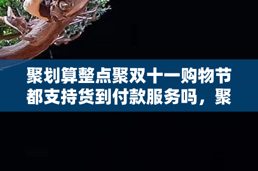 聚划算整点聚双十一购物节都支持货到付款服务吗，聚划算整点聚，解锁购物新体验，尽享超值优惠！