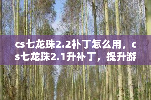 cs七龙珠2.2补丁怎么用,cs七龙珠2.1升补丁,提升游戏体验的必备神器 cs七龙珠2.2补丁怎么用,cs七龙珠2.1升补丁,提升游戏体验的必备神器