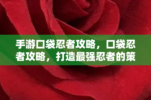 手游口袋忍者攻略,口袋忍者攻略,打造最强忍者的策略指南 手游口袋忍者攻略,口袋忍者攻略,打造最强忍者的策略指南