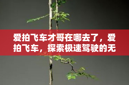 爱拍飞车才哥在哪去了，爱拍飞车，探索极速驾驶的无限可能