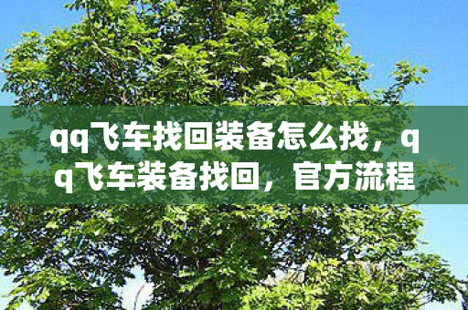 qq飞车找回装备怎么找,qq飞车装备找回,官方流程与注意事项 qq飞车找回装备怎么找,qq飞车装备找回,官方流程与注意事项