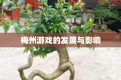 梅州游戏的发展与影响 梅州游戏的发展与影响