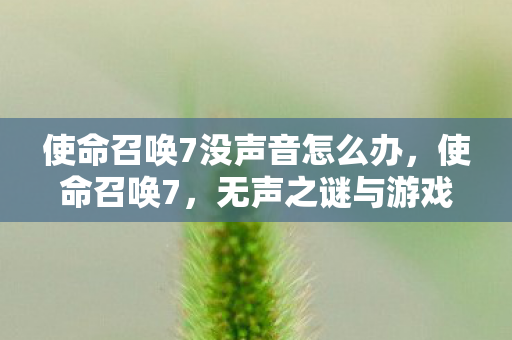 使命召唤7没声音怎么办,使命召唤7,无声之谜与游戏音频的深层探索 使命召唤7没声音怎么办,使命召唤7,无声之谜与游戏音频的深层探索