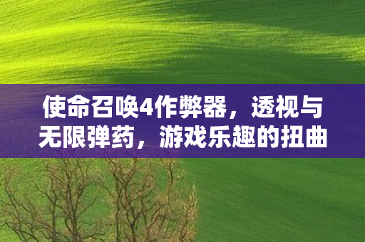 使命召唤4作弊器,透视与无限弹药,游戏乐趣的扭曲 使命召唤4作弊器,透视与无限弹药,游戏乐趣的扭曲