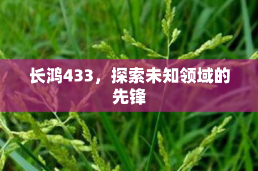 长鸿433,探索未知领域的先锋 长鸿433,探索未知领域的先锋