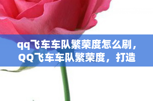 qq飞车车队繁荣度怎么刷,QQ飞车车队繁荣度,打造你的专属荣耀 qq飞车车队繁荣度怎么刷,QQ飞车车队繁荣度,打造你的专属荣耀