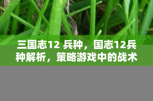 三国志12 兵种,国志12兵种解析,策略游戏中的战术精髓 三国志12 兵种,国志12兵种解析,策略游戏中的战术精髓
