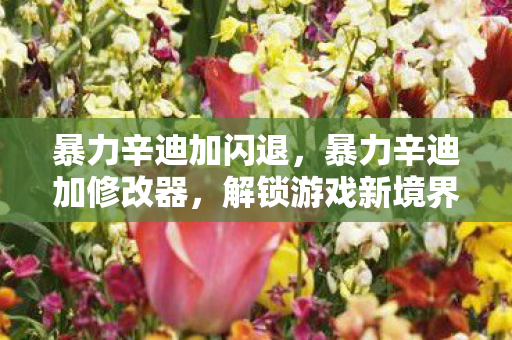 暴力辛迪加闪退,暴力辛迪加修改器,解锁游戏新境界的神奇工具 暴力辛迪加闪退,暴力辛迪加修改器,解锁游戏新境界的神奇工具