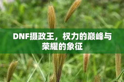 DNF摄政王，权力的巅峰与荣耀的象征