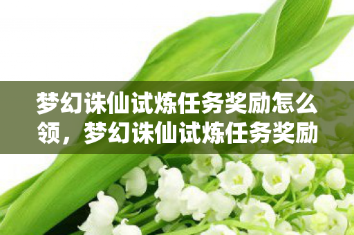 梦幻诛仙试炼任务奖励怎么领,梦幻诛仙试炼任务奖励,丰厚奖励助你成长 梦幻诛仙试炼任务奖励怎么领,梦幻诛仙试炼任务奖励,丰厚奖励助你成长