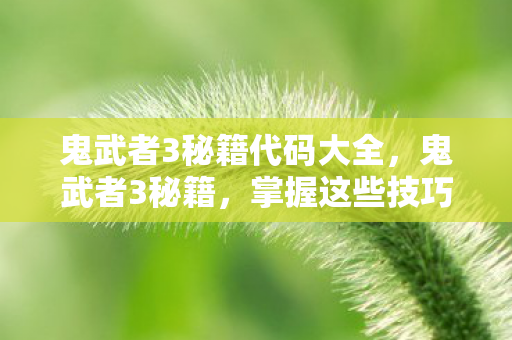鬼武者3秘籍代码大全,鬼武者3秘籍,掌握这些技巧,提升你的游戏实力 鬼武者3秘籍代码大全,鬼武者3秘籍,掌握这些技巧,提升你的游戏实力