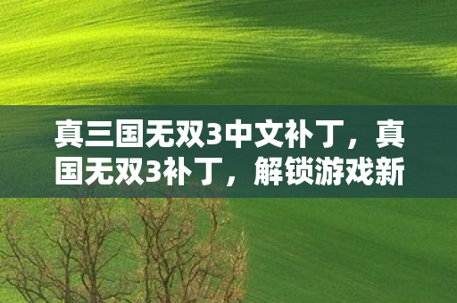 真三国无双3中文补丁,真国无双3补丁,解锁游戏新体验,打造个性化战场 真三国无双3中文补丁,真国无双3补丁,解锁游戏新体验,打造个性化战场