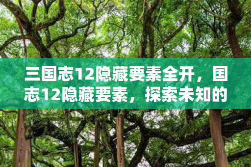 三国志12隐藏要素全开,国志12隐藏要素,探索未知的战略深度 三国志12隐藏要素全开,国志12隐藏要素,探索未知的战略深度