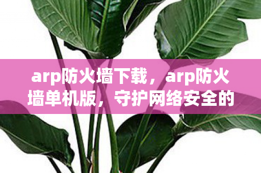 arp防火墙下载,arp防火墙单机版,守护网络安全的重要防线 arp防火墙下载,arp防火墙单机版,守护网络安全的重要防线