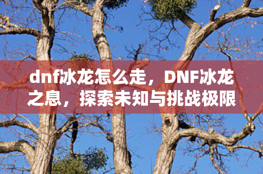dnf冰龙怎么走,DNF冰龙之息,探索未知与挑战极限的冒险之旅 dnf冰龙怎么走,DNF冰龙之息,探索未知与挑战极限的冒险之旅