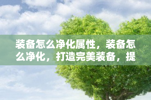 装备怎么净化属性,装备怎么净化,打造完美装备,提升游戏战斗力的关键步骤 装备怎么净化属性,装备怎么净化,打造完美装备,提升游戏战斗力的关键步骤