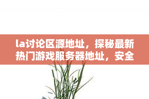 la讨论区源地址,探秘最新热门游戏服务器地址,安全与效率的双重考量 la讨论区源地址,探秘最新热门游戏服务器地址,安全与效率的双重考量