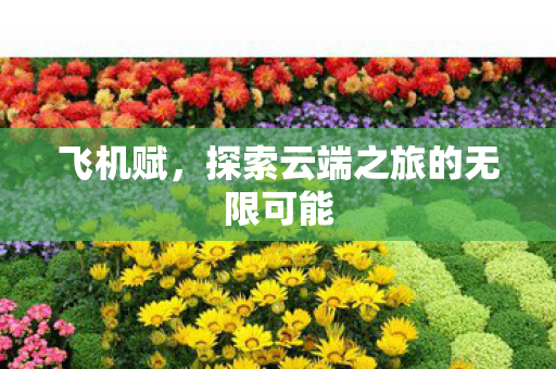飞机赋，探索云端之旅的无限可能