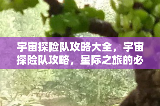 宇宙探险队攻略大全,宇宙探险队攻略,星际之旅的必备指南 宇宙探险队攻略大全,宇宙探险队攻略,星际之旅的必备指南