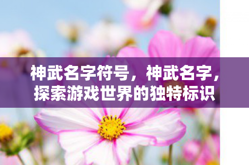 神武名字符号，神武名字，探索游戏世界的独特标识