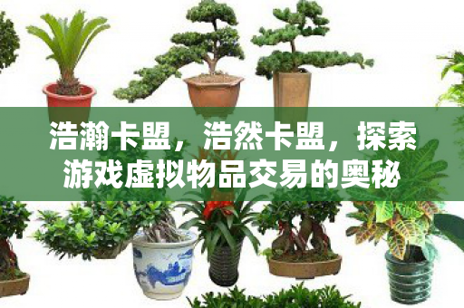浩瀚卡盟,浩然卡盟,探索游戏虚拟物品交易的奥秘 浩瀚卡盟,浩然卡盟,探索游戏虚拟物品交易的奥秘
