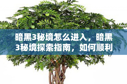 暗黑3秘境怎么进入，暗黑3秘境探索指南，如何顺利进入秘境