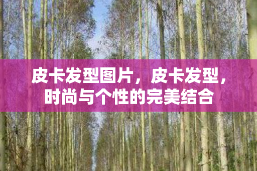 皮卡发型图片,皮卡发型,时尚与个性的完美结合 皮卡发型图片,皮卡发型,时尚与个性的完美结合