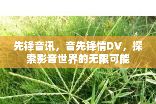 先锋音讯，音先锋情DV，探索影音世界的无限可能
