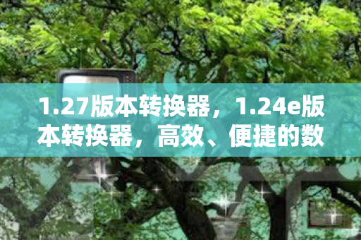 1.27版本转换器，1.24e版本转换器，高效、便捷的数字媒体转换工具