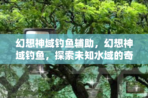 幻想神域钓鱼辅助，幻想神域钓鱼，探索未知水域的奇妙之旅
