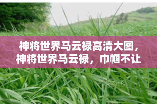 神将世界马云禄高清大图,神将世界马云禄,巾帼不让须眉的传奇女将 神将世界马云禄高清大图,神将世界马云禄,巾帼不让须眉的传奇女将