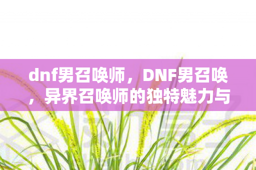 dnf男召唤师，DNF男召唤，异界召唤师的独特魅力与玩法解析