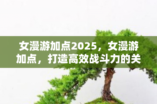 女漫游加点2025,女漫游加点,打造高效战斗力的关键 女漫游加点2025,女漫游加点,打造高效战斗力的关键