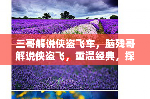 三哥解说侠盗飞车,脑残哥解说侠盗飞,重温经典,探索自由世界的无限可能 三哥解说侠盗飞车,脑残哥解说侠盗飞,重温经典,探索自由世界的无限可能