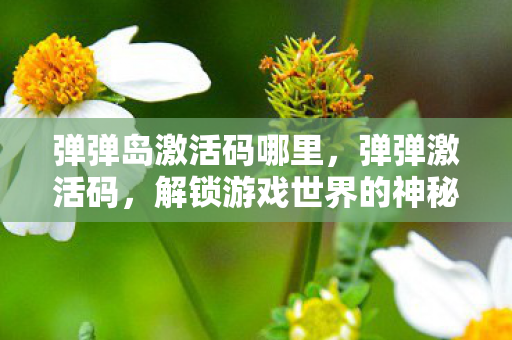 弹弹岛激活码哪里，弹弹激活码，解锁游戏世界的神秘钥匙