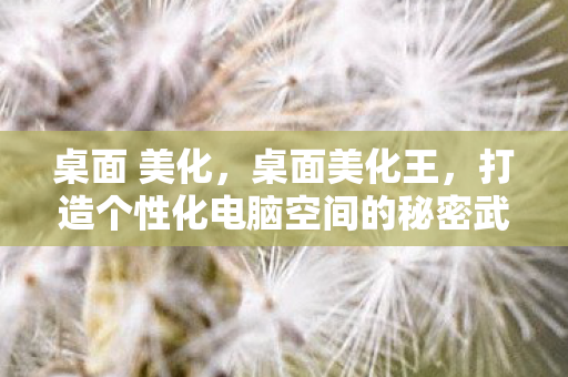桌面 美化,桌面美化王,打造个性化电脑空间的秘密武器 桌面 美化,桌面美化王,打造个性化电脑空间的秘密武器