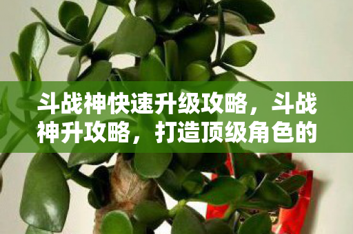 斗战神快速升级攻略,斗战神升攻略,打造顶级角色的全面指南 斗战神快速升级攻略,斗战神升攻略,打造顶级角色的全面指南
