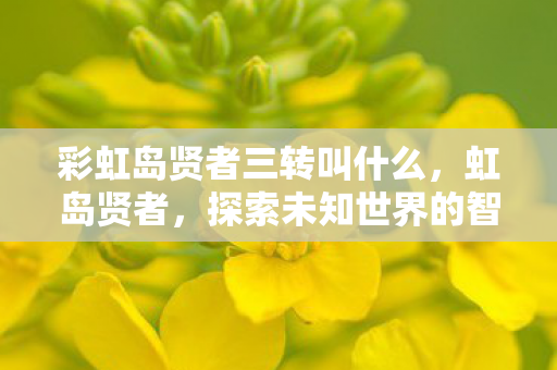 彩虹岛贤者三转叫什么,虹岛贤者,探索未知世界的智慧之旅 彩虹岛贤者三转叫什么,虹岛贤者,探索未知世界的智慧之旅