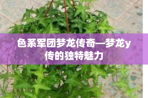 色系军团梦龙传奇—梦龙y传的独特魅力 色系军团梦龙传奇—梦龙y传的独特魅力