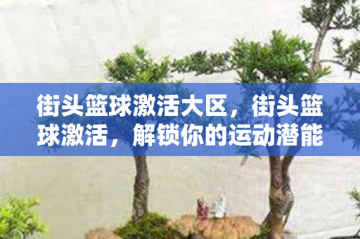街头篮球激活大区,街头篮球激活,解锁你的运动潜能 街头篮球激活大区,街头篮球激活,解锁你的运动潜能