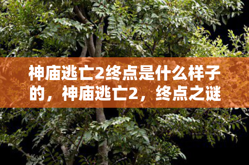 神庙逃亡2终点是什么样子的,神庙逃亡2,终点之谜与无尽逃亡的奇幻之旅 神庙逃亡2终点是什么样子的,神庙逃亡2,终点之谜与无尽逃亡的奇幻之旅
