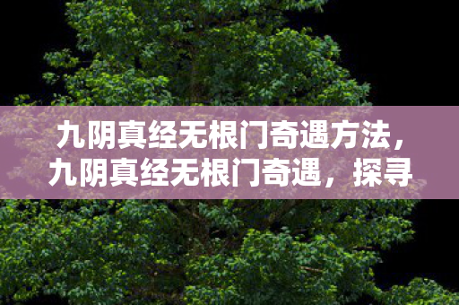 九阴真经无根门奇遇方法,九阴真经无根门奇遇,探寻未知世界的神秘之旅 九阴真经无根门奇遇方法,九阴真经无根门奇遇,探寻未知世界的神秘之旅