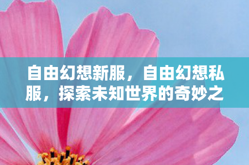 自由幻想新服,自由幻想私服,探索未知世界的奇妙之旅 自由幻想新服,自由幻想私服,探索未知世界的奇妙之旅