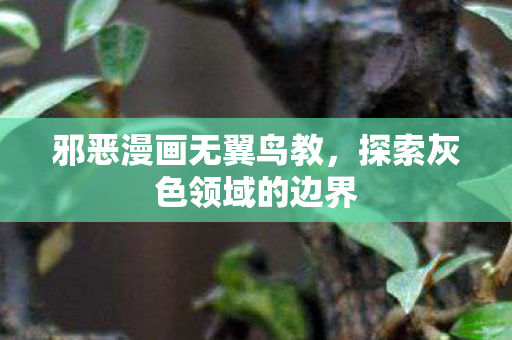 邪恶漫画无翼鸟教，探索灰色领域的边界