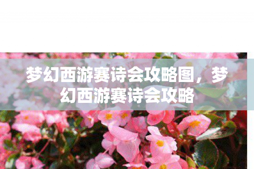 梦幻西游赛诗会攻略图,梦幻西游赛诗会攻略 梦幻西游赛诗会攻略图,梦幻西游赛诗会攻略
